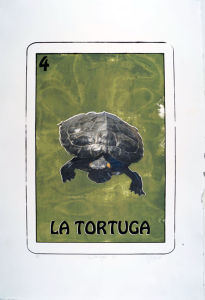 /works/thumb/studies/La_Tortuga_large_.jpg